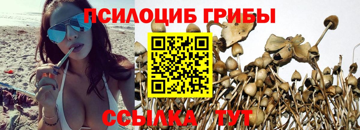 Псилоцибиновые грибы Magic Shrooms  Вход с VPN  Псилоцибиновые грибы мухоморы  Кириши 
