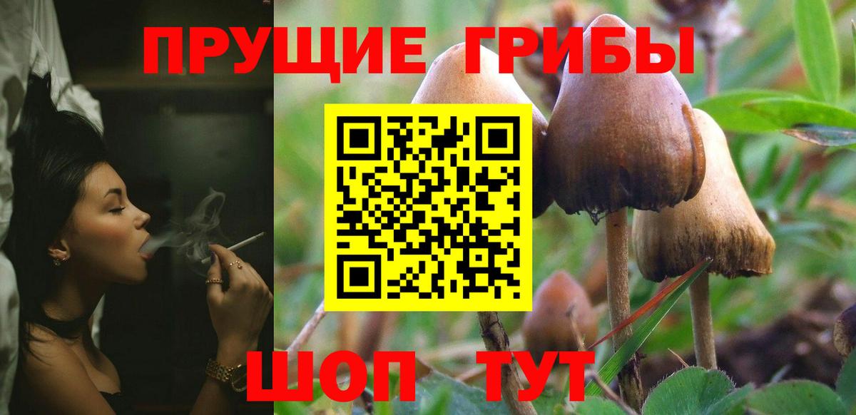 Галлюциногенные грибы прущие грибы Кириши
