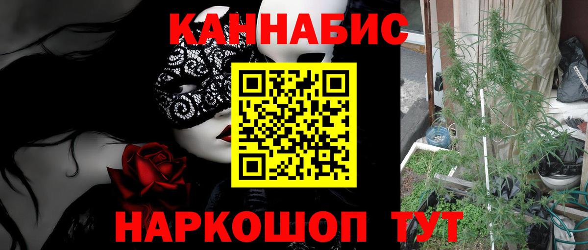 Каннабис SATIVA & INDICA Кириши
